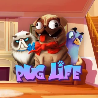 Pug Life slot by HACKSAW GAMING