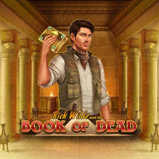 Book of Dead slot by PLAYNGO