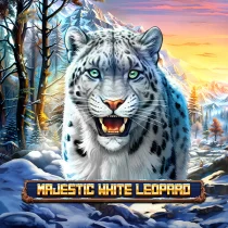 Majestic White Leopard